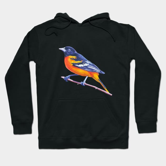 Baltimore Oriole - bird painting (no background) Hoodie by EmilyBickell